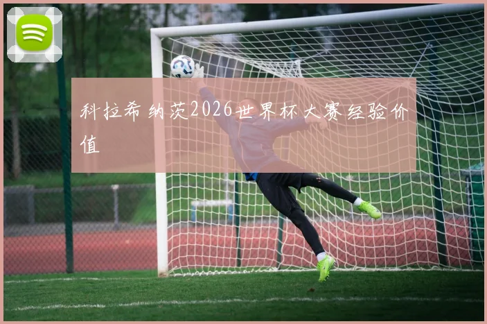 科拉希纳茨2026世界杯大赛经验价值